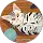 KEL22 profile picture
